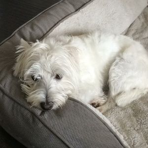 Meet your Posher, Patricia